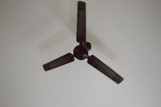 Ventilador de Teto 3 Pás